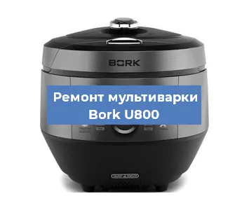 Замена чаши на мультиварке Bork U800 в Красноярске